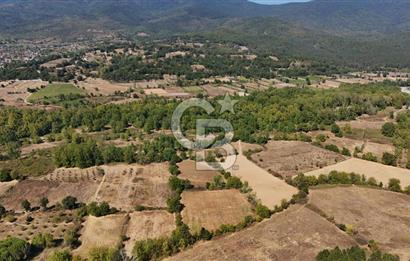 Çanakkale Yenice Örencik Köyü'nde 6318 M² Tarla !