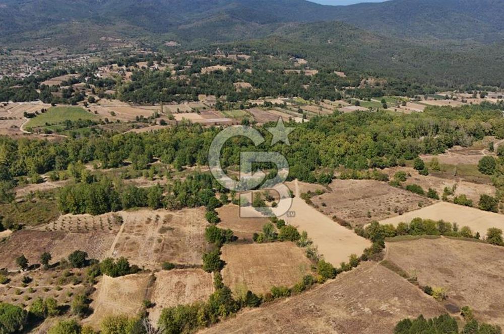 Çanakkale Yenice Örencik Köyü'nde 5096 M² Tarla !