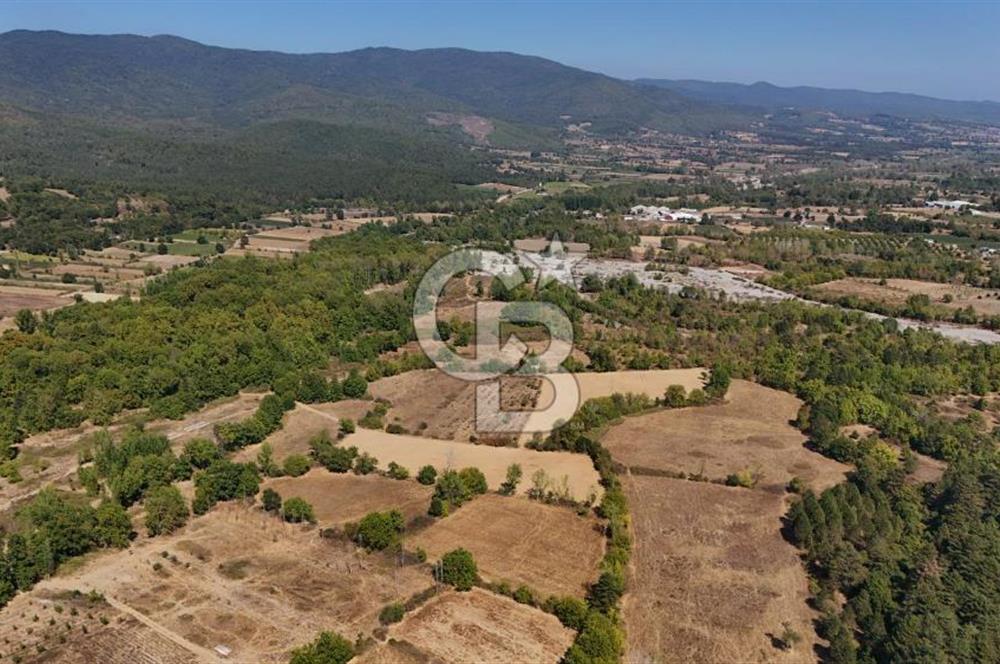 Çanakkale Yenice Örencik Köyü'nde 6318 M² Tarla !