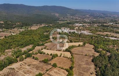 Çanakkale Yenice Örencik Köyü'nde 5096 M² Tarla !