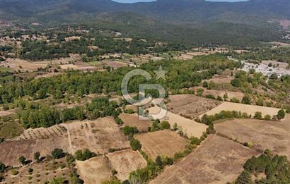 Çanakkale Yenice Örencik Köyü'nde 5096 M² Tarla !