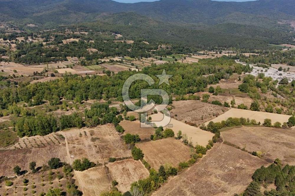 Çanakkale Yenice Örencik Köyü'nde 6318 M² Tarla !