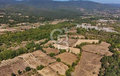 Çanakkale Yenice Örencik Köyü'nde 5096 M² Tarla !