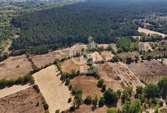 Çanakkale Yenice Örencik Köyü'nde 6318 M² Tarla !