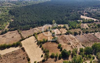 Çanakkale Yenice Örencik Köyü'nde 6318 M² Tarla !