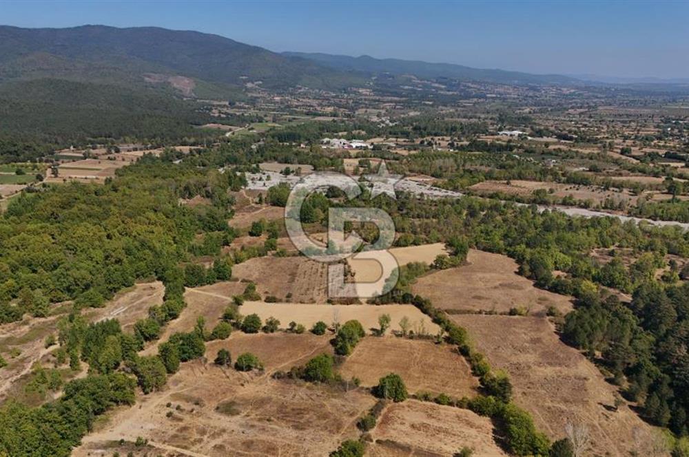 Çanakkale Yenice Örencik Köyü'nde 5096 M² Tarla !