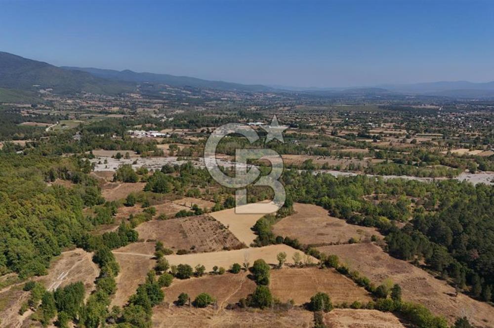 Çanakkale Yenice Örencik Köyü'nde 6318 M² Tarla !