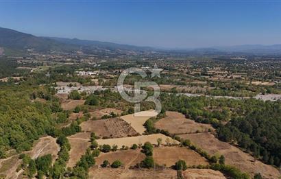 Çanakkale Yenice Örencik Köyü'nde 6318 M² Tarla !