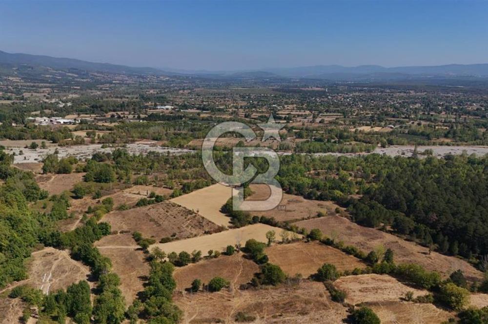 Çanakkale Yenice Örencik Köyü'nde 5096 M² Tarla !