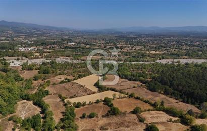 Çanakkale Yenice Örencik Köyü'nde 5096 M² Tarla !
