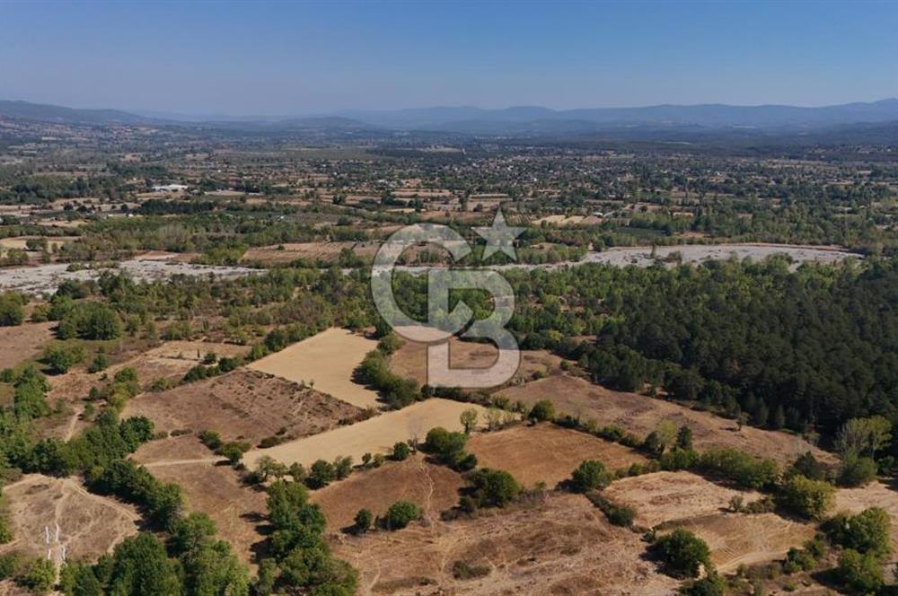 Çanakkale Yenice Örencik Köyü'nde 6318 M² Tarla !