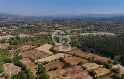 Çanakkale Yenice Örencik Köyü'nde 6318 M² Tarla !