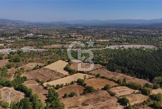 Çanakkale Yenice Örencik Köyü'nde 5096 M² Tarla !