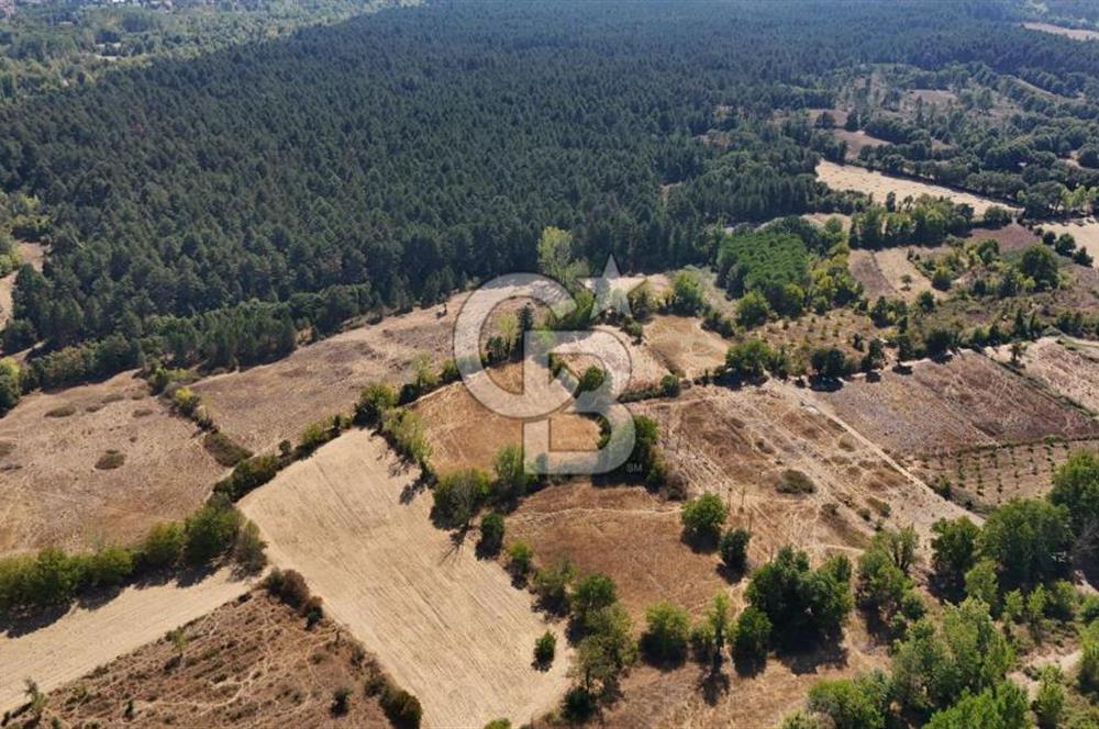 Çanakkale Yenice Örencik Köyü'nde 5096 M² Tarla !