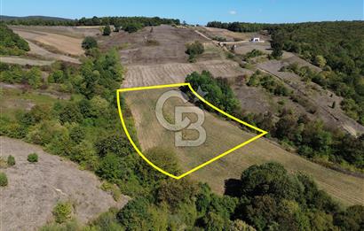 Derince Tahtalı da 4800 m2 SATILIK TARLA, Kadastral yolu var