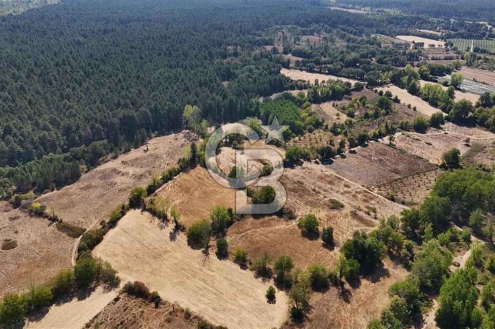 Çanakkale Yenice Örencik Köyü'nde 5096 M² Tarla !
