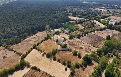 Çanakkale Yenice Örencik Köyü'nde 5096 M² Tarla !