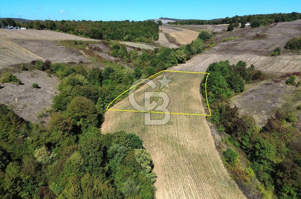 Derince Tahtalı da 4800 m2 SATILIK TARLA, Kadastral yolu var