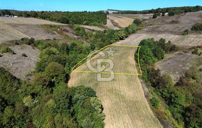 Derince Tahtalı da 4800 m2 SATILIK TARLA, Kadastral yolu var