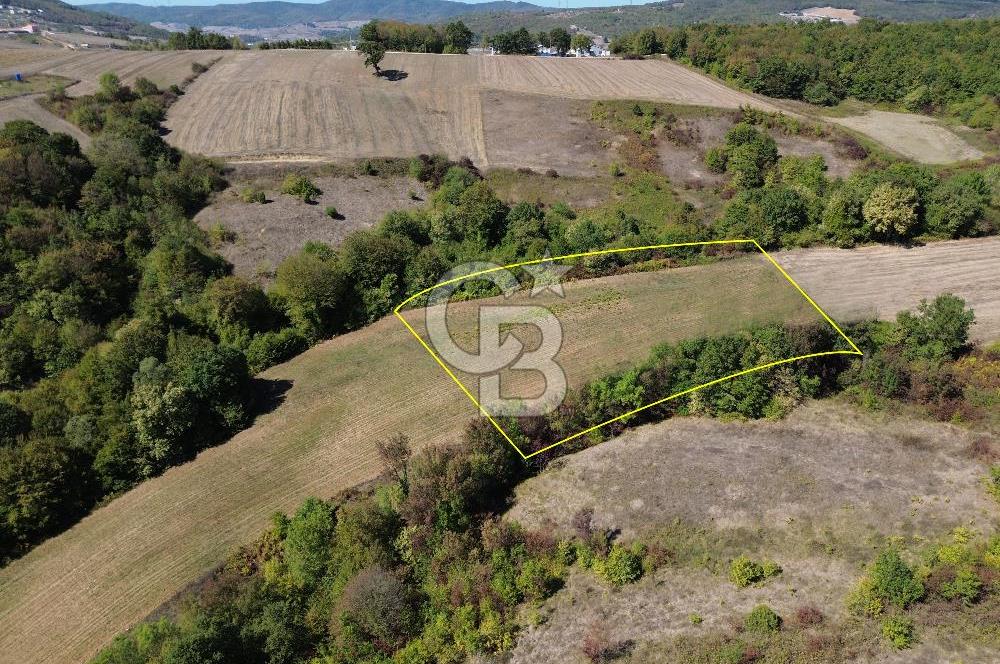Derince Tahtalı da 4800 m2 SATILIK TARLA, Kadastral yolu var
