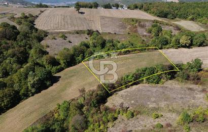 Derince Tahtalı da 4800 m2 SATILIK TARLA, Kadastral yolu var