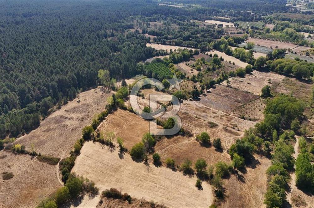 Çanakkale Yenice Örencik Köyü'nde 6318 M² Tarla !