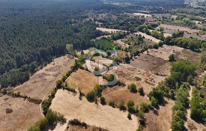 Çanakkale Yenice Örencik Köyü'nde 6318 M² Tarla !