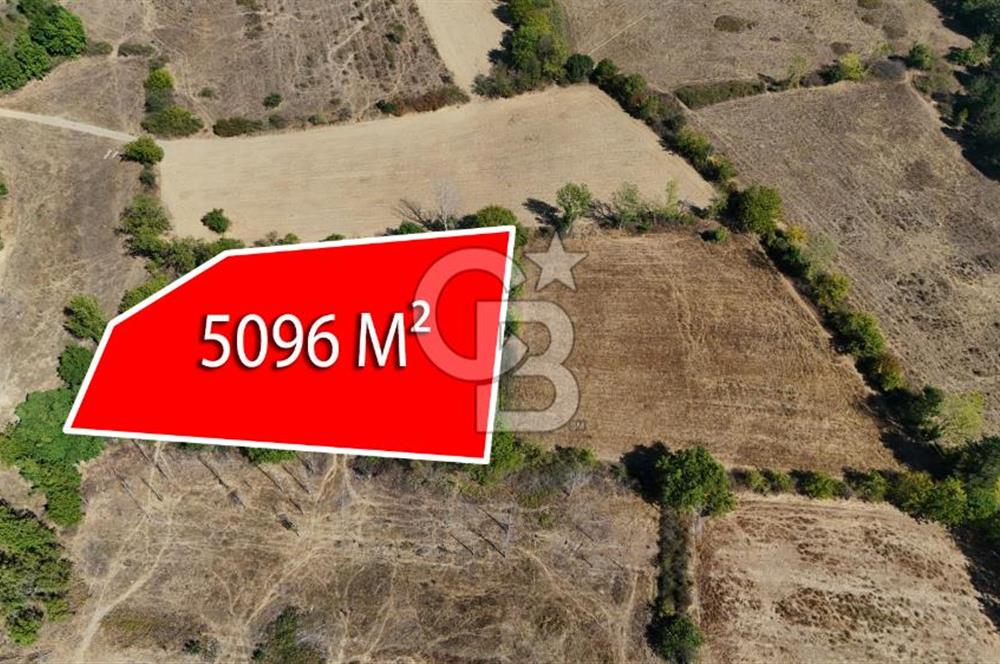Çanakkale Yenice Örencik Köyü'nde 5096 M² Tarla !