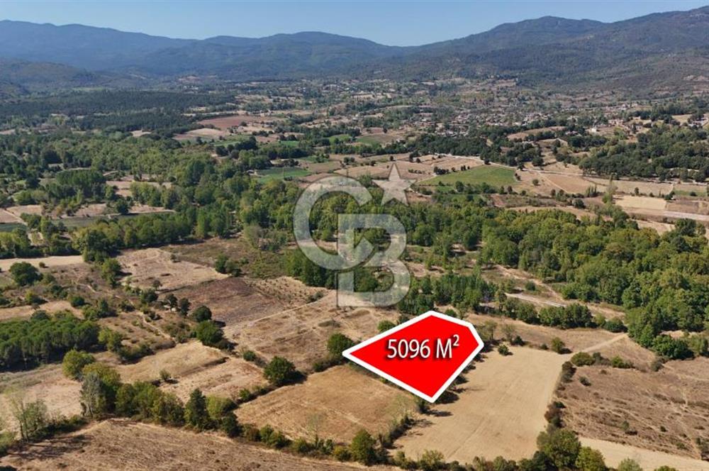 Çanakkale Yenice Örencik Köyü'nde 5096 M² Tarla !