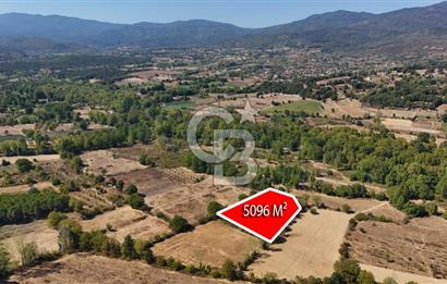 Çanakkale Yenice Örencik Köyü'nde 5096 M² Tarla !