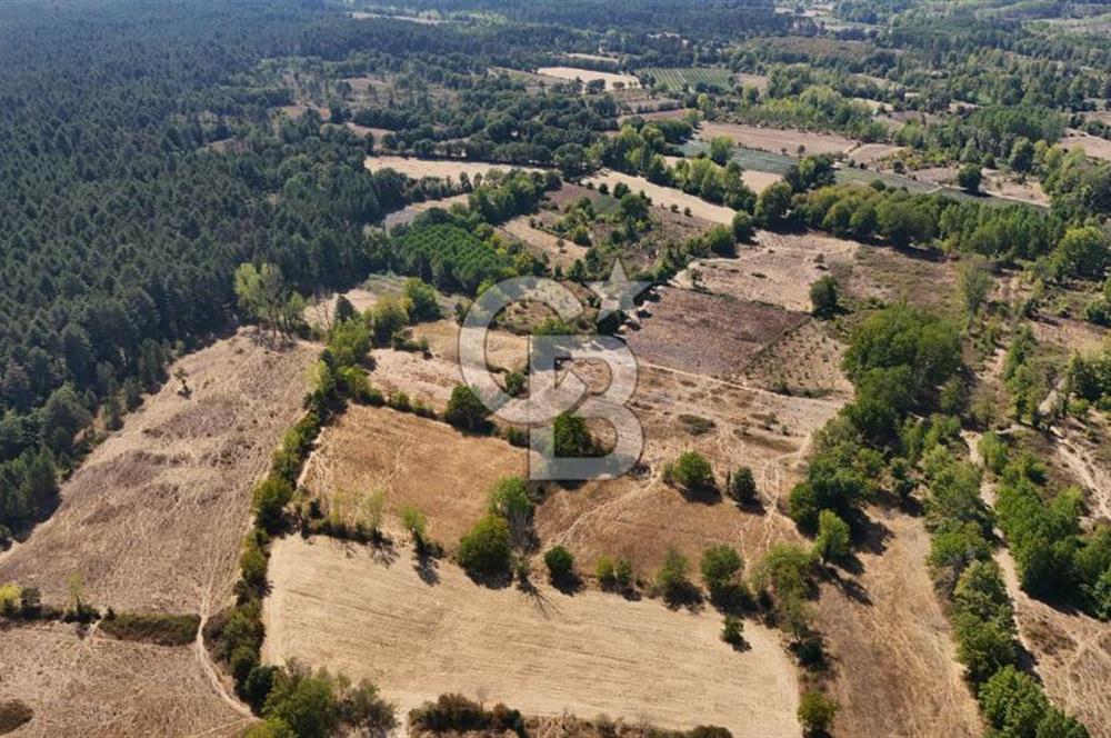 Çanakkale Yenice Örencik Köyü'nde 5096 M² Tarla !
