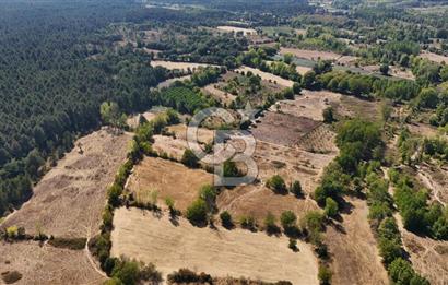 Çanakkale Yenice Örencik Köyü'nde 6318 M² Tarla !