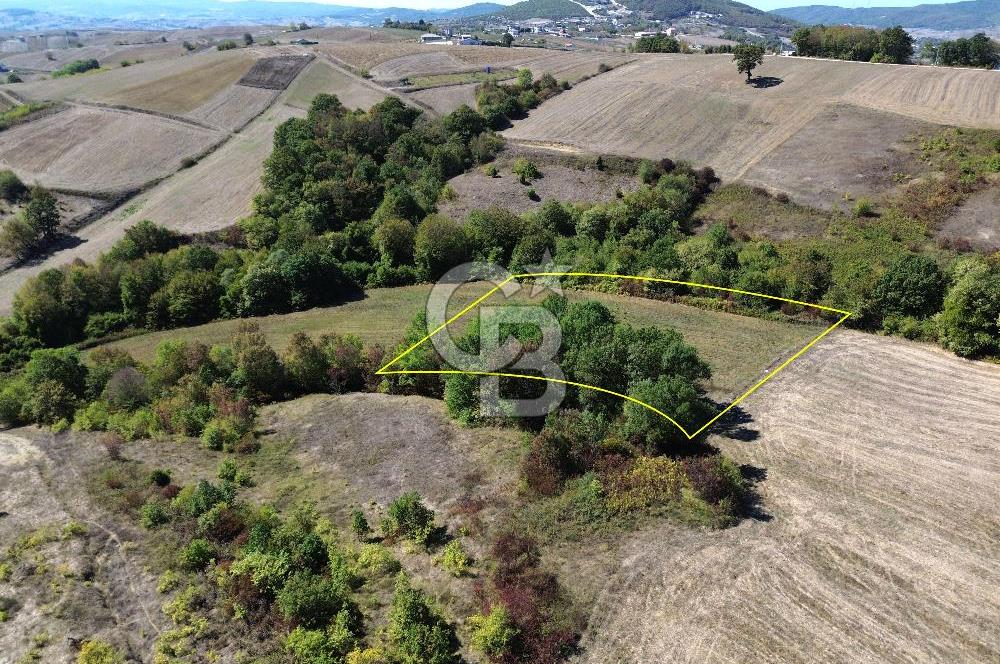 Derince Tahtalı da 4800 m2 SATILIK TARLA, Kadastral yolu var