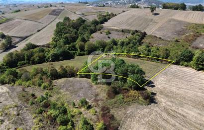 Derince Tahtalı da 4800 m2 SATILIK TARLA, Kadastral yolu var