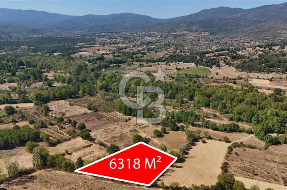 Çanakkale Yenice Örencik Köyü'nde 6318 M² Tarla !