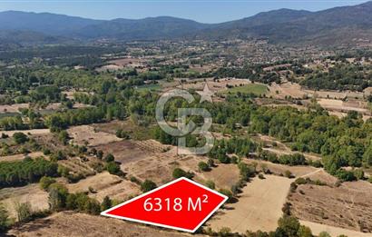 Çanakkale Yenice Örencik Köyü'nde 6318 M² Tarla !