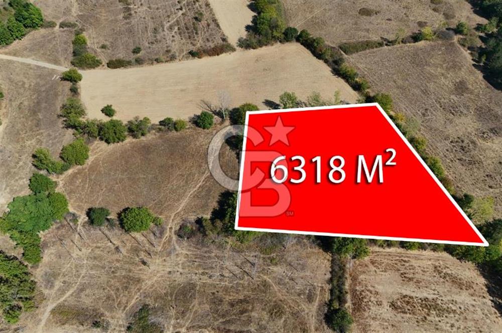 Çanakkale Yenice Örencik Köyü'nde 6318 M² Tarla !