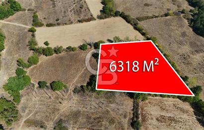 Çanakkale Yenice Örencik Köyü'nde 6318 M² Tarla !