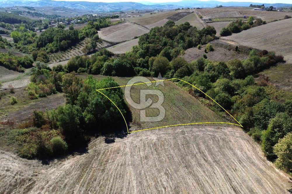 Derince Tahtalı da 4800 m2 SATILIK TARLA, Kadastral yolu var