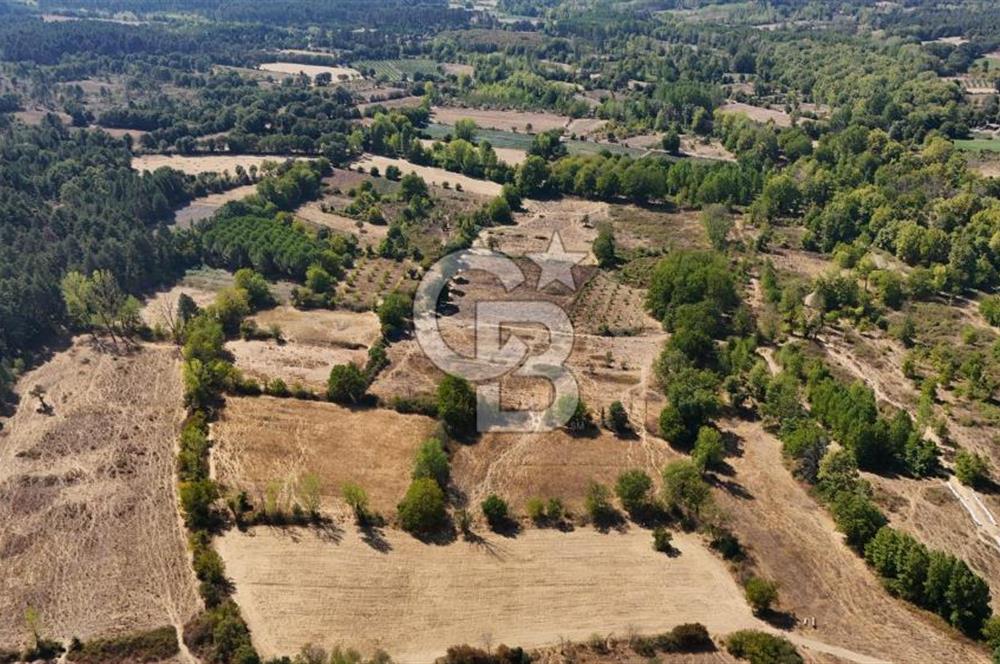 Çanakkale Yenice Örencik Köyü'nde 6318 M² Tarla !