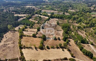 Çanakkale Yenice Örencik Köyü'nde 5096 M² Tarla !