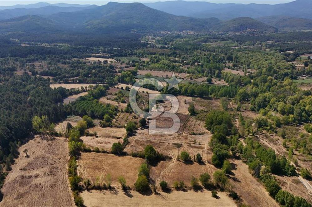 Çanakkale Yenice Örencik Köyü'nde 6318 M² Tarla !