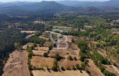 Çanakkale Yenice Örencik Köyü'nde 6318 M² Tarla !