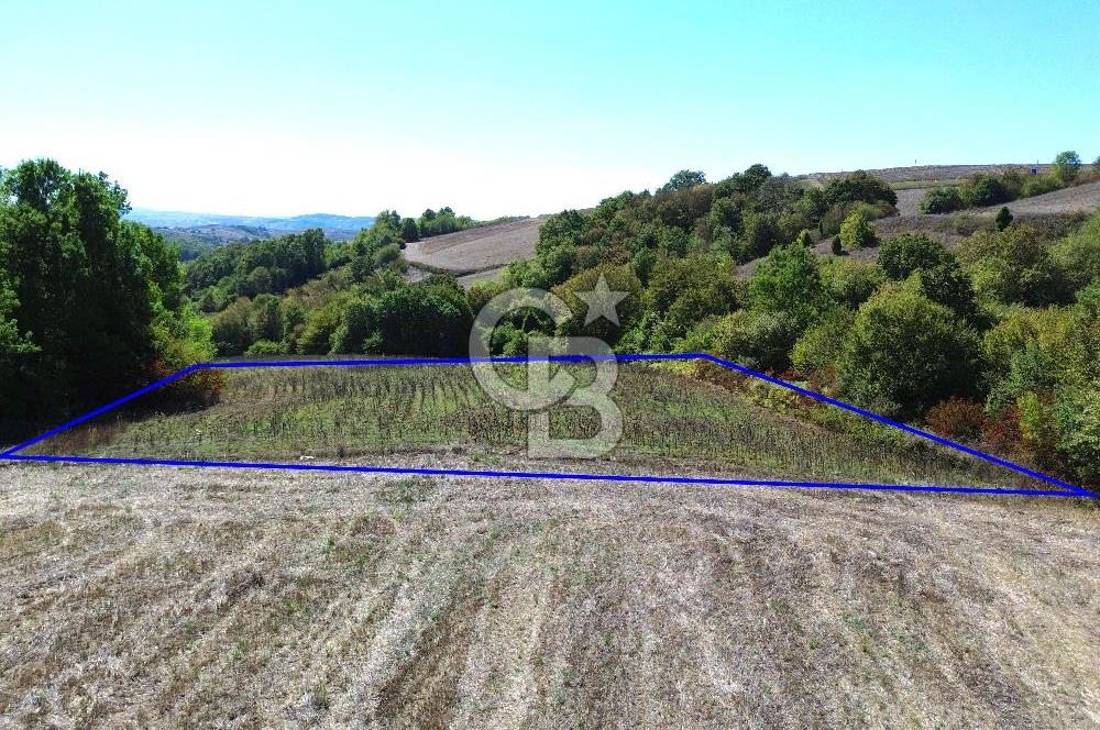 Derince Tahtalı da 4800 m2 SATILIK TARLA, Kadastral yolu var