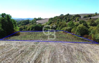 Derince Tahtalı da 4800 m2 SATILIK TARLA, Kadastral yolu var