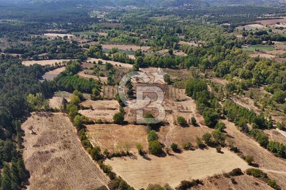 Çanakkale Yenice Örencik Köyü'nde 6318 M² Tarla !