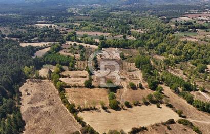 Çanakkale Yenice Örencik Köyü'nde 6318 M² Tarla !