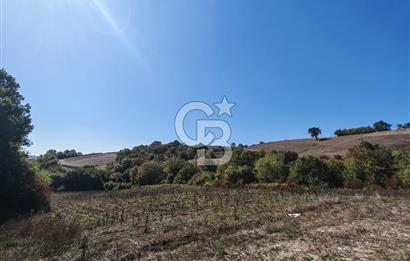Derince Tahtalı da 4800 m2 SATILIK TARLA, Kadastral yolu var