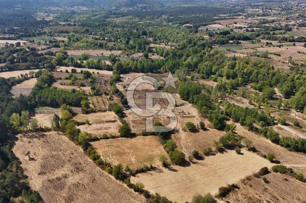 Çanakkale Yenice Örencik Köyü'nde 6318 M² Tarla !