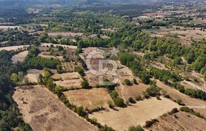 Çanakkale Yenice Örencik Köyü'nde 5096 M² Tarla !
